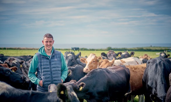 a man standing in front of a herd of cows